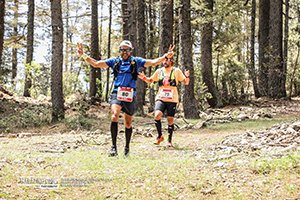 Trail Des Cèdres 2023 (Edition 14)